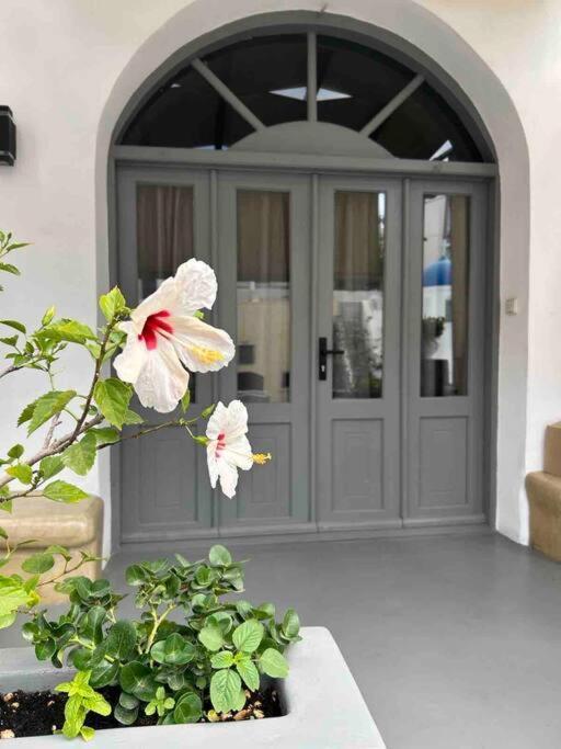 Antoniou Santorini Luxury Home Тира Экстерьер фото